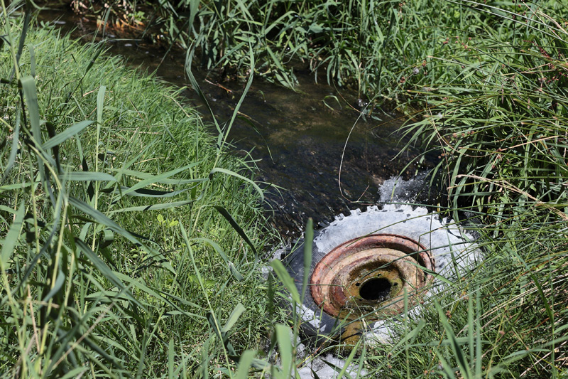 chiare, fresche, dolci acque