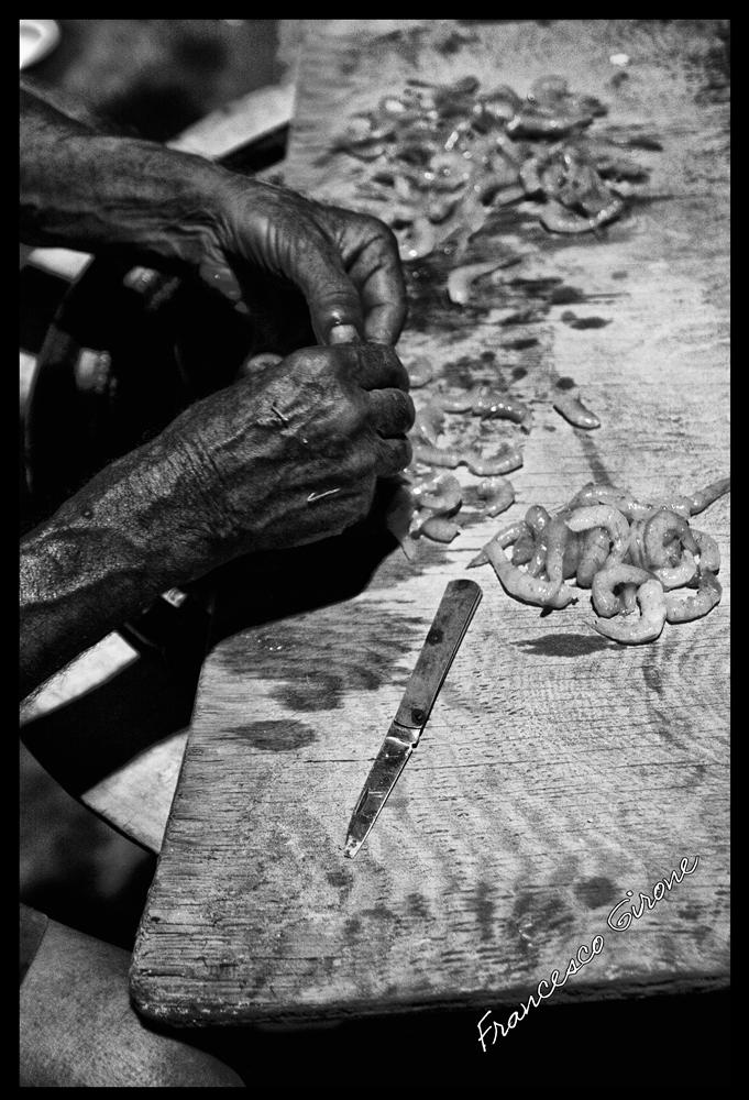 Spicchiando i gamberi - Acitrezza