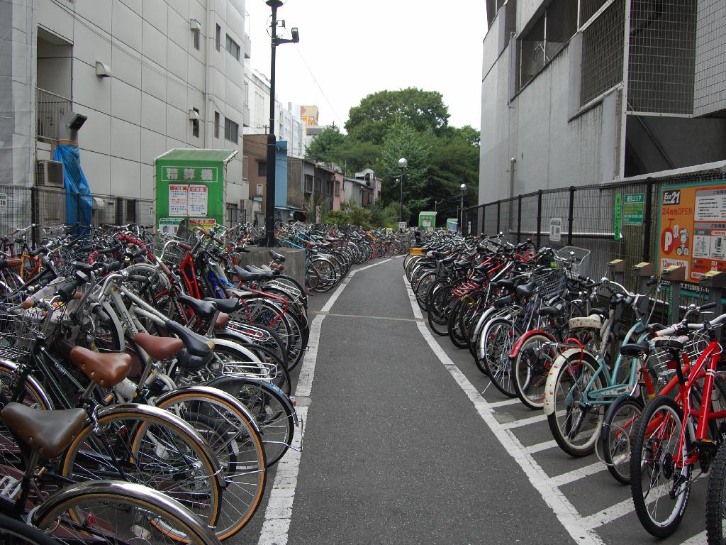 Hai voluto la bicicletta ? ............