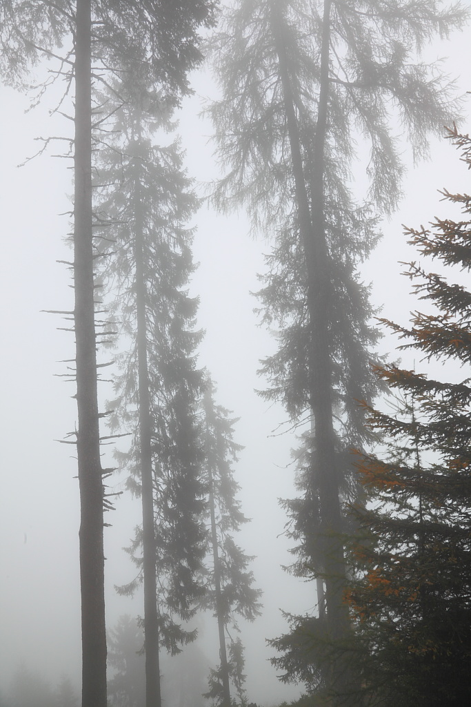 Avvolti dalle nuvole