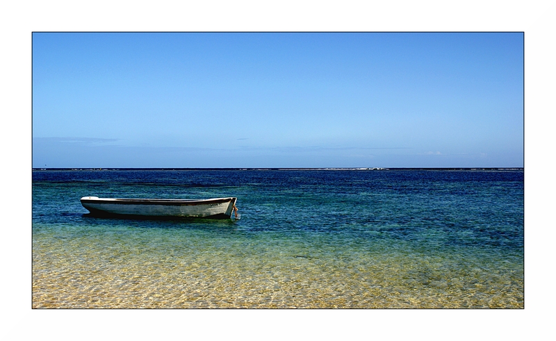 I wish you were here 2