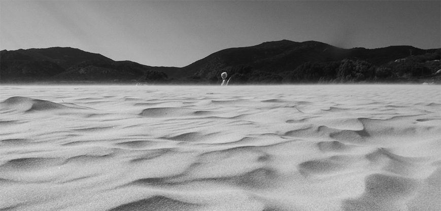 in mezzo al  maestrale