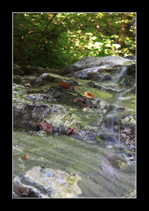 ruscello di montagna 2