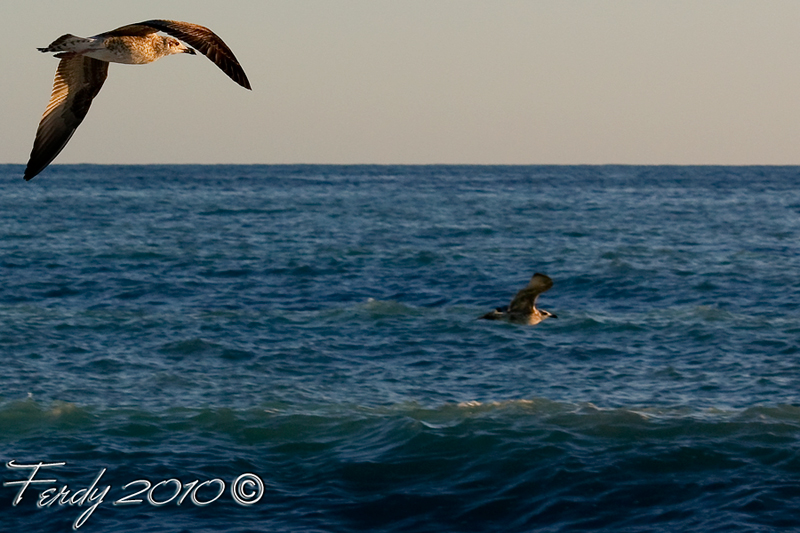 Inseguimento con virata