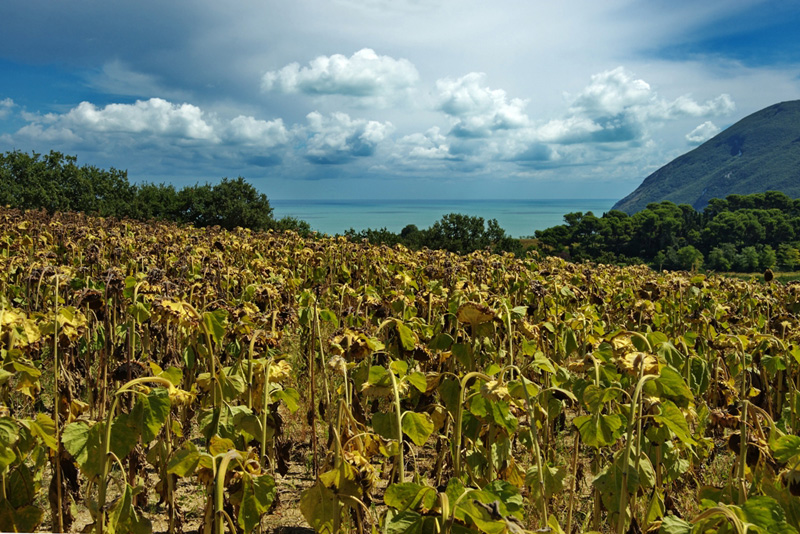 Un'altra estate si sta allontanando