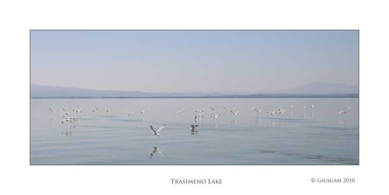 Trasimeno