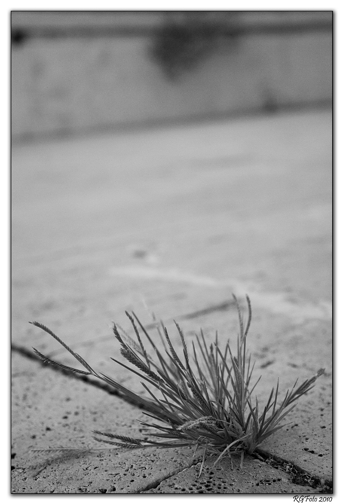 La natura vince sull'uomo