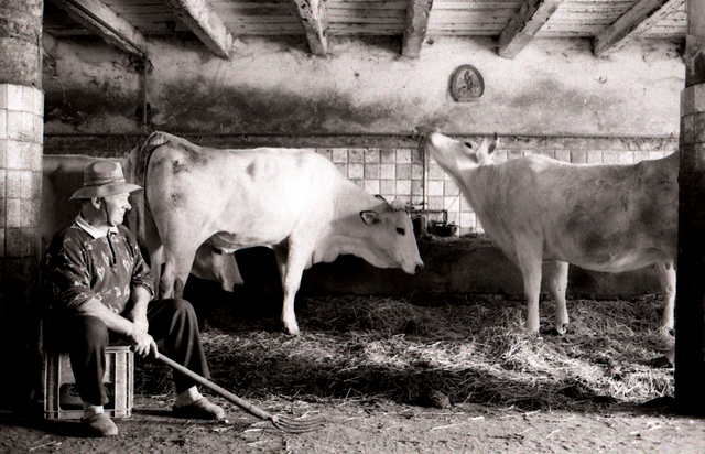 L'Uomo e La Sua Terra