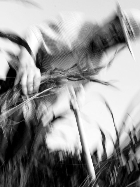 L'Uomo e La Sua Terra