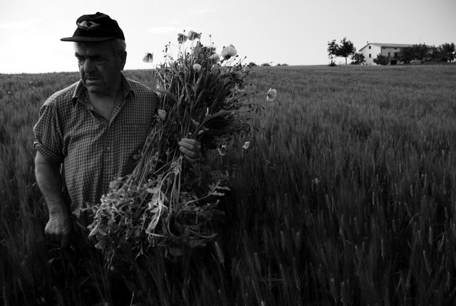 L'Uomo e La Sua Terra