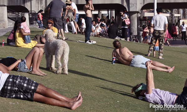 Californian Grand Jatte