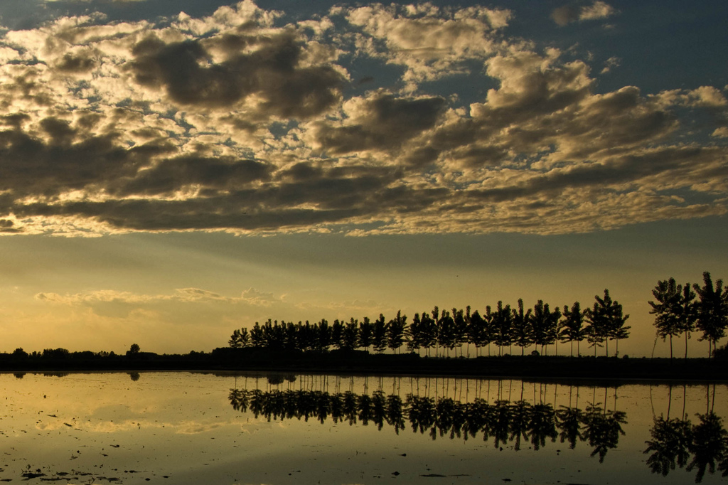 Come richiesto da Pio...