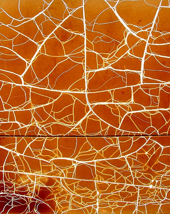 stati d'immaginazione