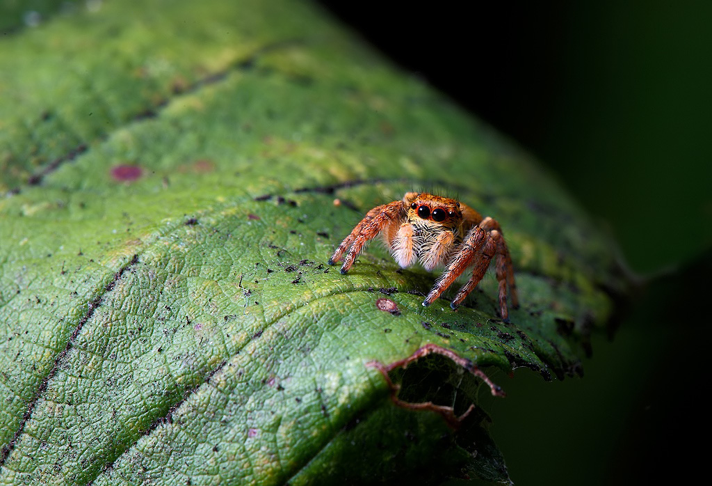 ...A Quattr'occhi...!!!