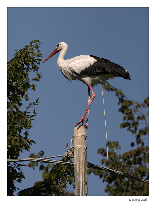 Una caga@##!!!ta di foto