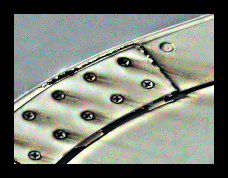 particolari di un ala