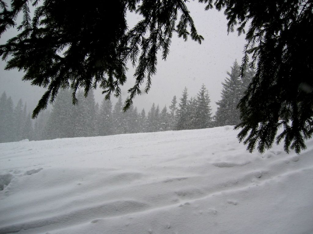 Al riparo dalla bufera