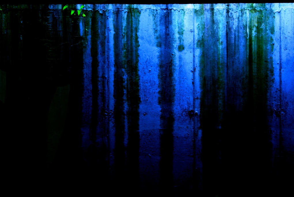 Beyond the Wall of Sleep