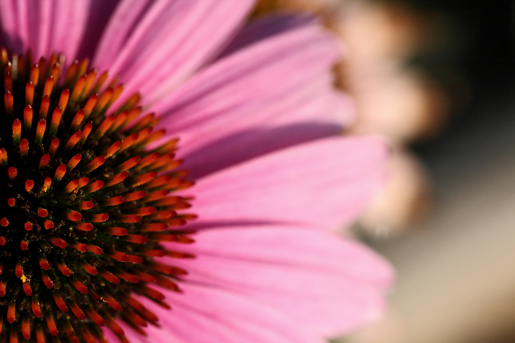 A world without heroes