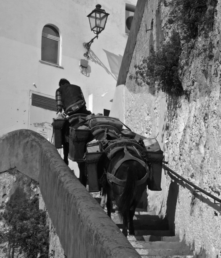 Scalinatella amalfitana