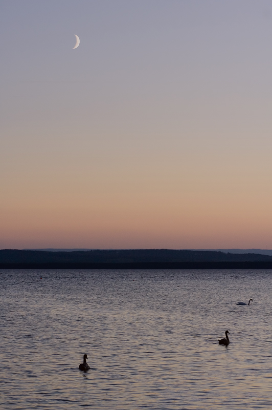 la quiete del crepuscolo