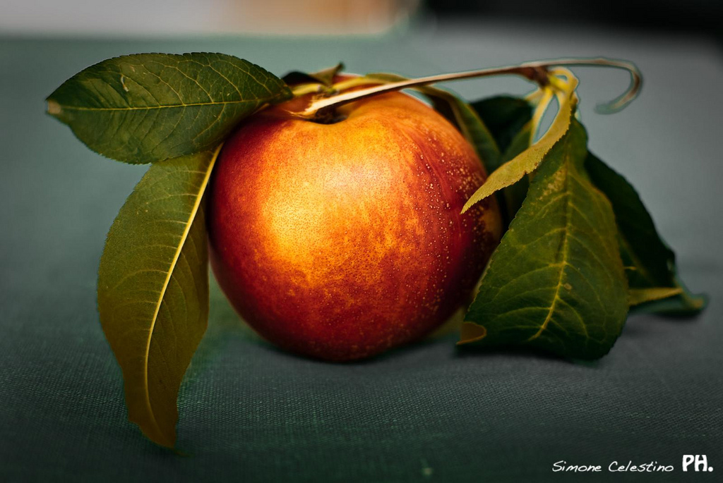 Peach or Apple?