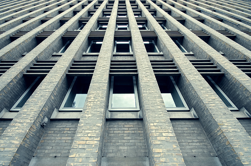 Bricks & Windows