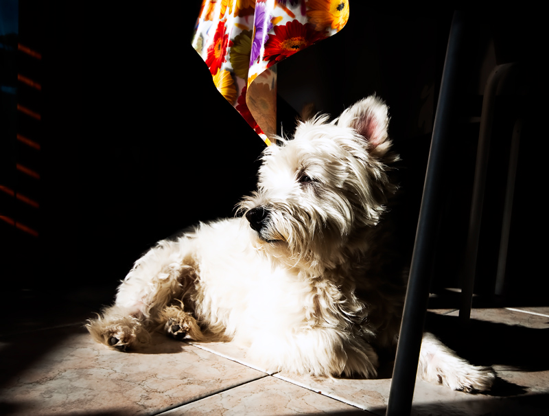 intimit� domestica#4