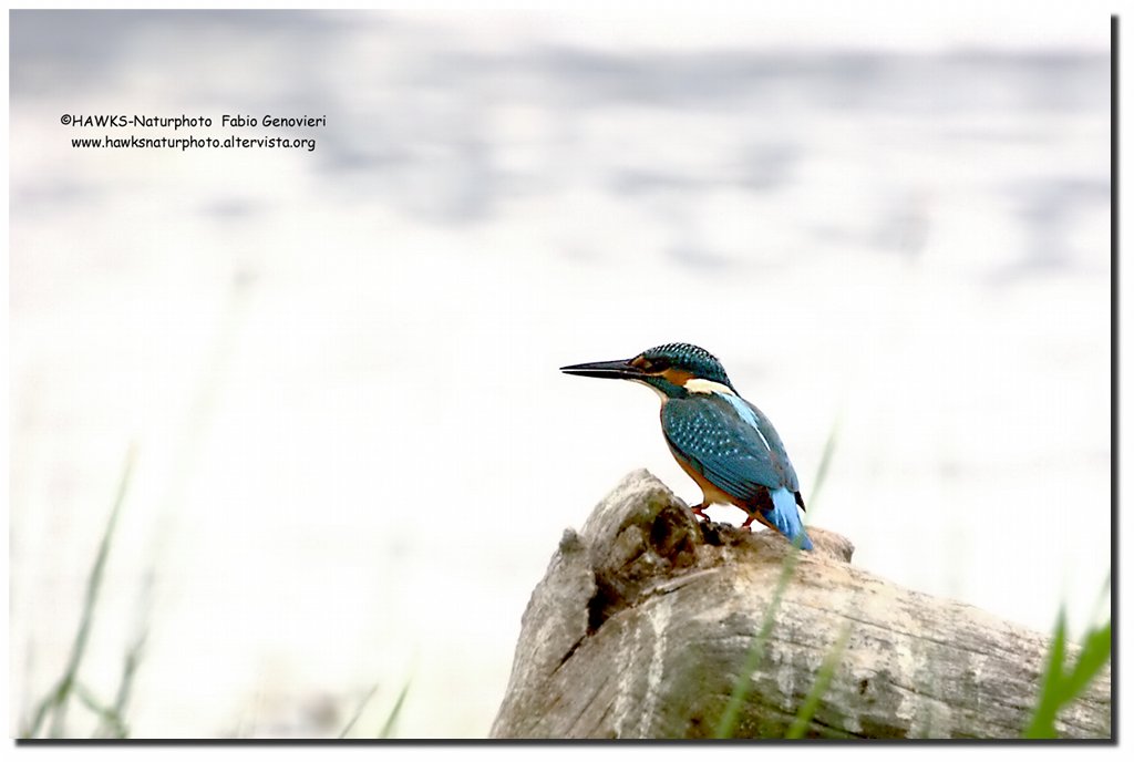 Il divo concede il bis