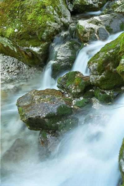 Staticit� e dinamicit�