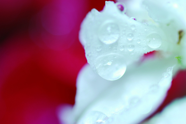 prova con tubi di prolunga