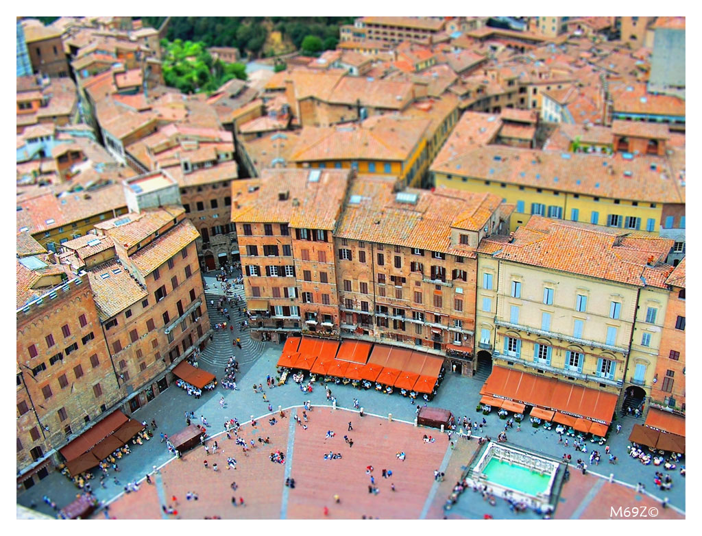 Zona della mossa - Siena