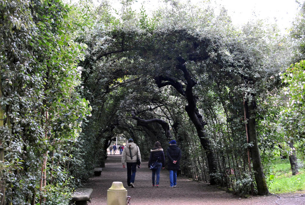 arco in fiore