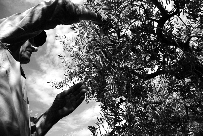 L'Uomo e La Sua Terra