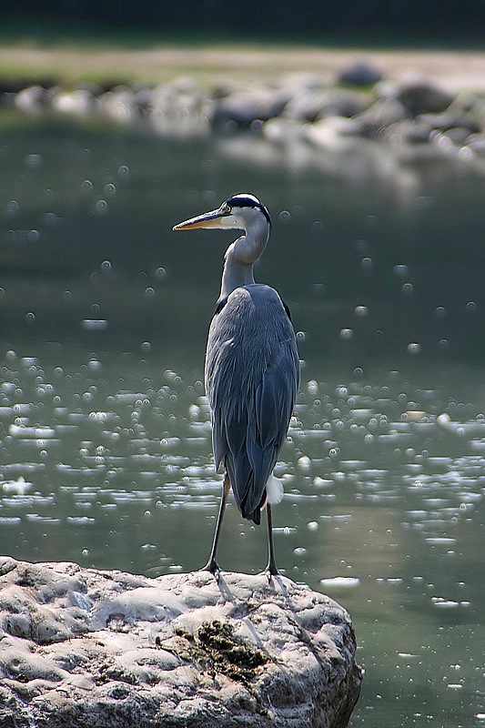 ...all'improvviso...