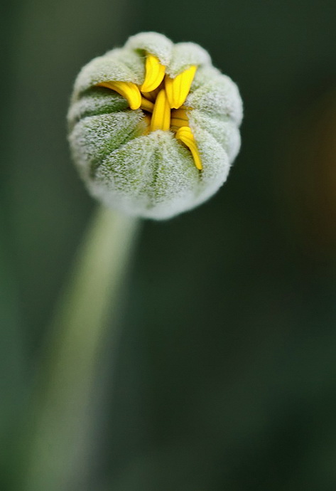 Non ho voglia d'uscire...