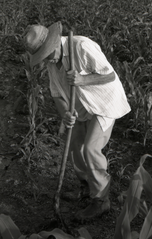 L'Uomo e La Sua Terra