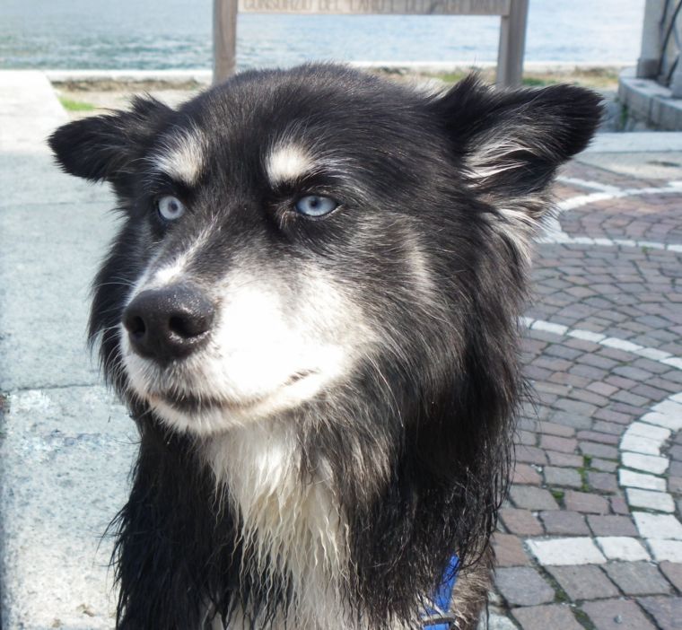 se gli occhi sono lo specchio dell'anima...