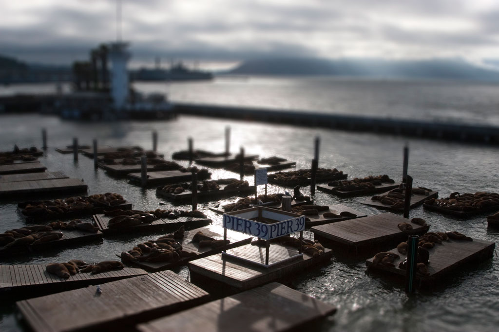 Pier 39