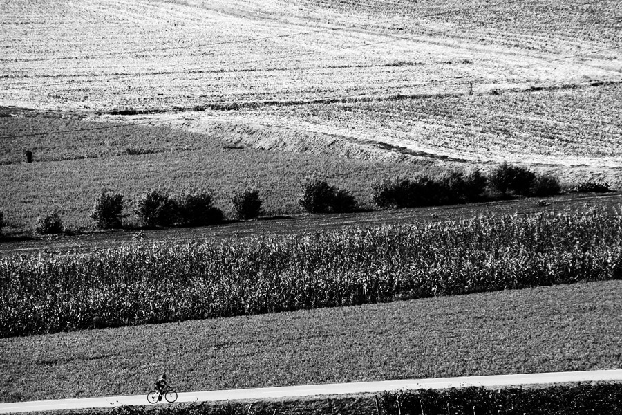 Campagne con ciclista