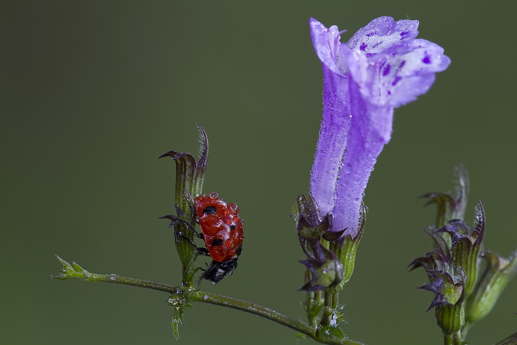 Oggi  mi sento fortunato