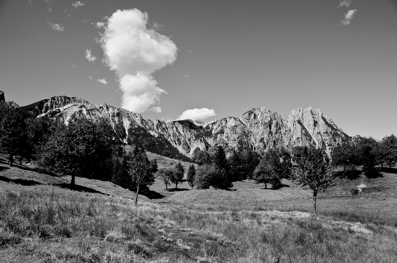 Montagnole.........b/n