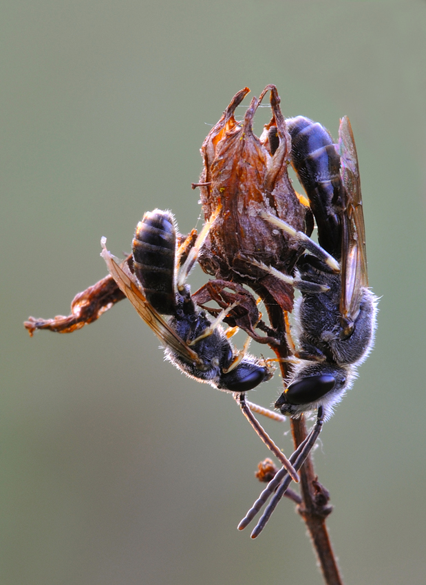 gli ultimi raggi di sole...