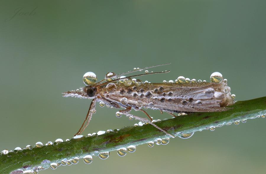 In testa ho solo il PARCO DEL CENTENARIO!...