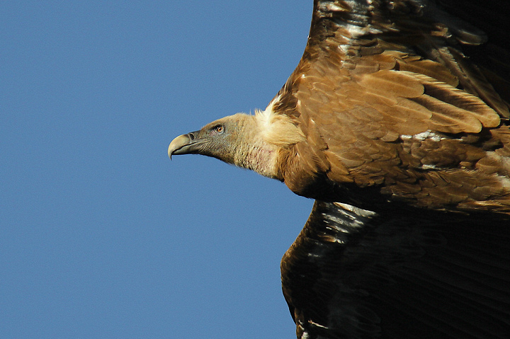 PRIMO PIANO.........