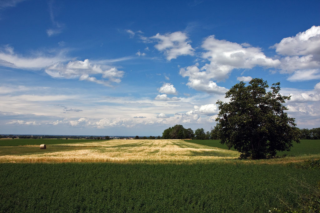 La campagna completa