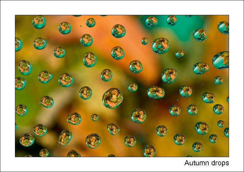 Autumn drops