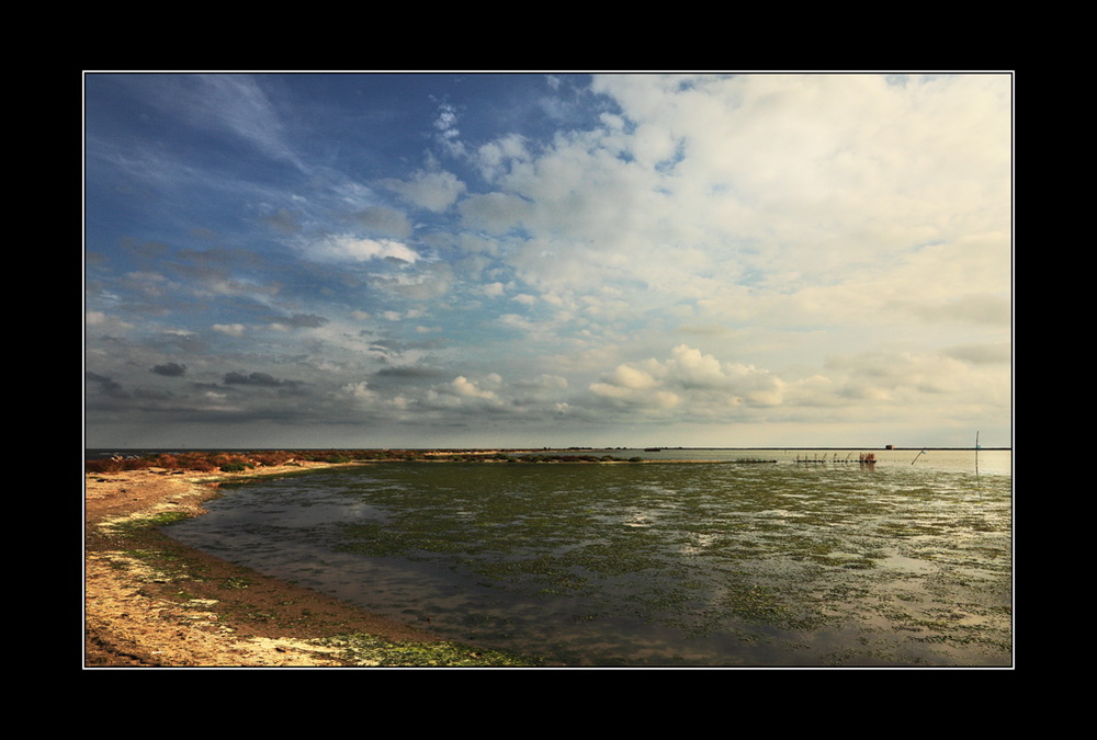 Le bellezze del Delta