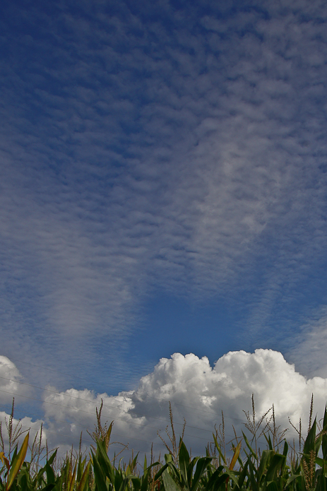 Spray e schiuma di nuvole