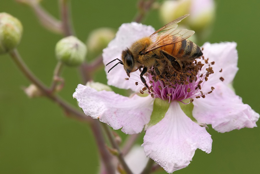 ...Un Attimo Di Riposo...!!!